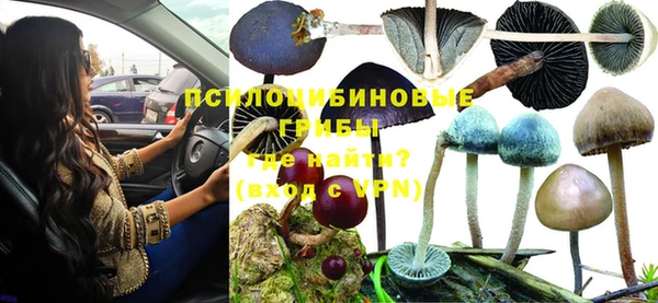стафф Лихославль