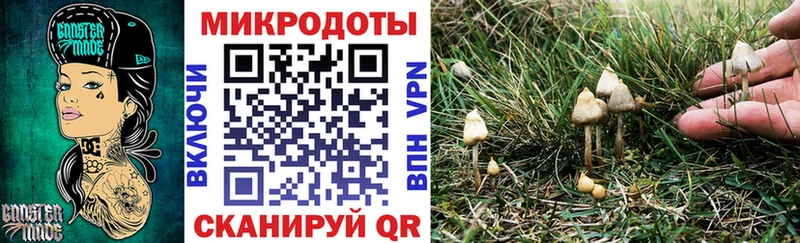 Псилоцибиновые грибы MAGIC MUSHROOMS  Купить закладки  Далматово 
